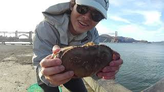 Underwater View Of Crab Snare At Torpedo Wharf, SF:  Wow Bắt Cua Bên Golden Gate Bridge