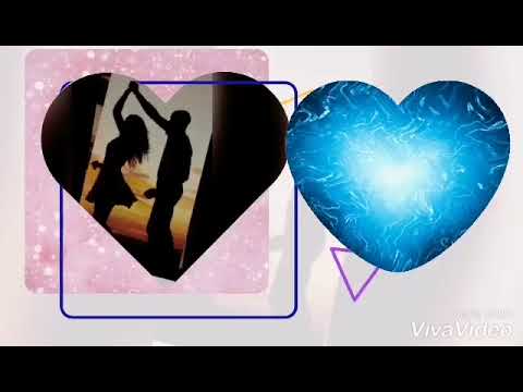 شرين عبد الوهاب وهاني شاكر انا قلبي ليك