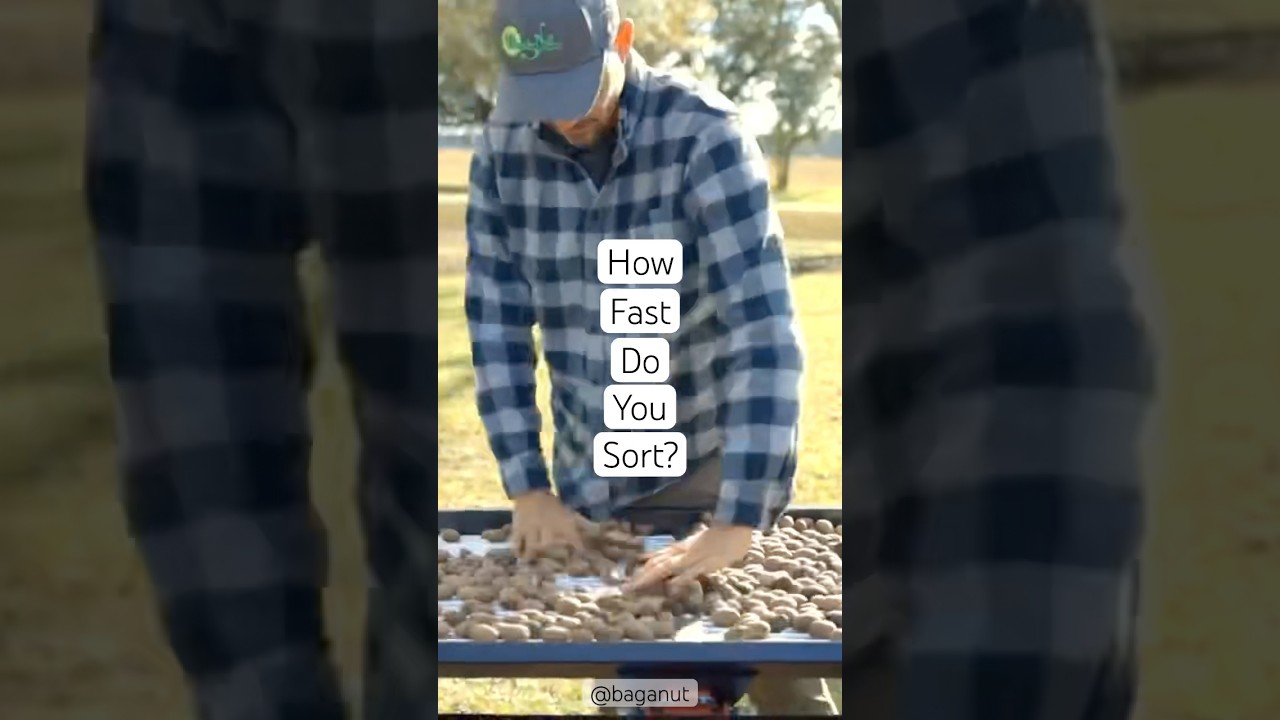 Sorting Pecans Fast
