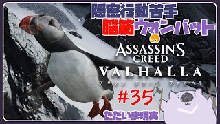 【脳筋アサクリ35】ASSASSINS CREED VALHALLA 【#こむらいぶ】