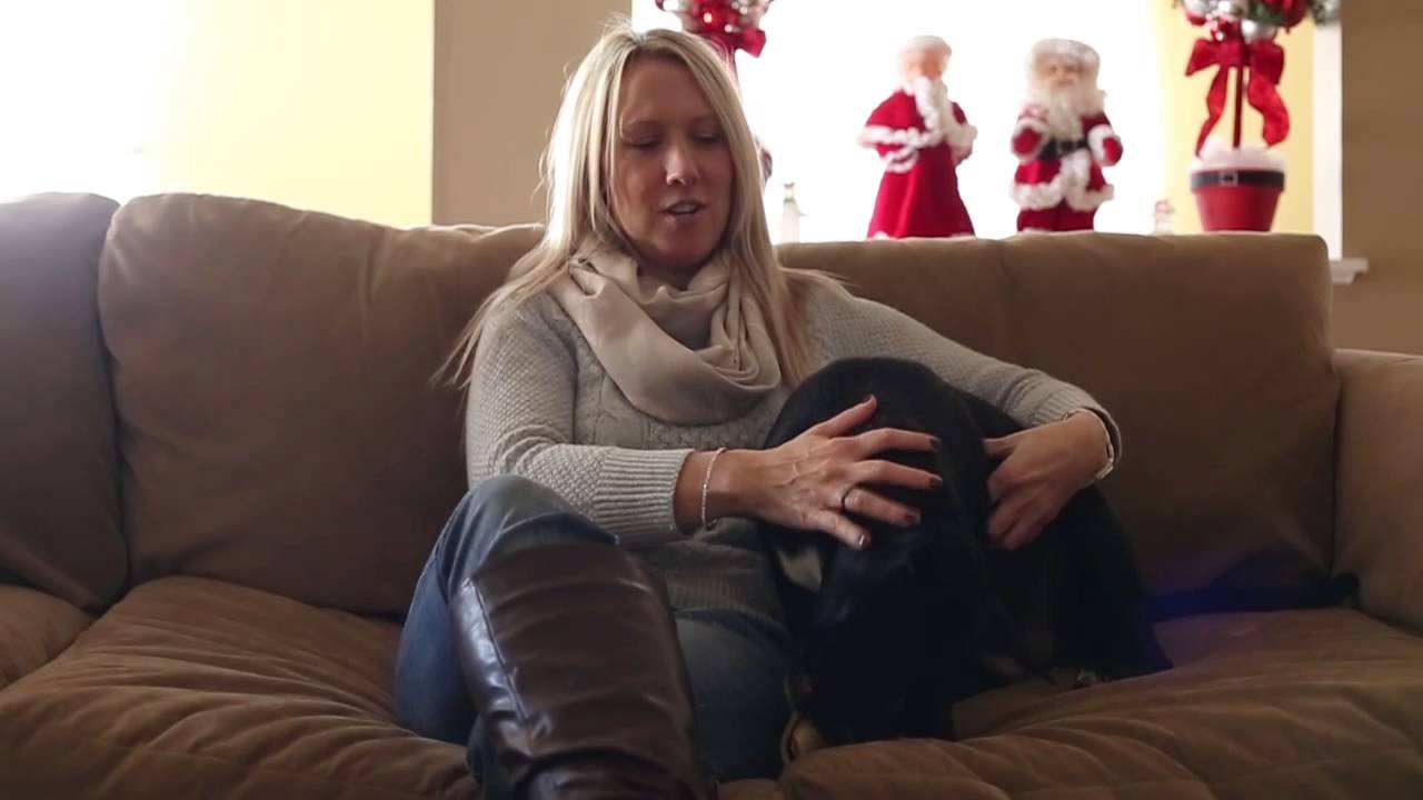 rescue dogs rock nyc Meet Wednesday - Adopted Dog from Gateway Pet Guardians