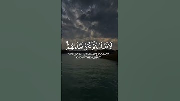 تلاوة مباركة لآية من القرآن الكريم، نسأل الله أنينفعنا وإياكم بها.