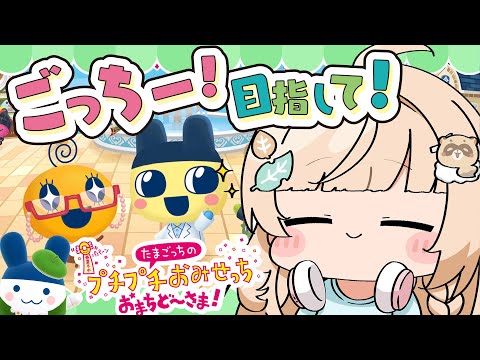 ス*イ様 風真いろは 駿河屋 -<中古>風真いろは メッセージ入りブロマイド
