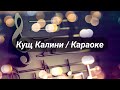 Кущ Калини Караоке Кущ Калини Караоке