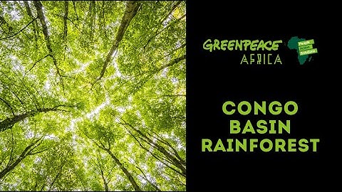 Save Congo Basin Forest