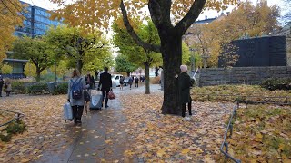 ?? Sweden ? Autumn walk in Stockholm 4K (636)