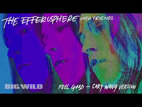 Big Wild - Feel Good - Cory Wong Version (Official Visualizer)