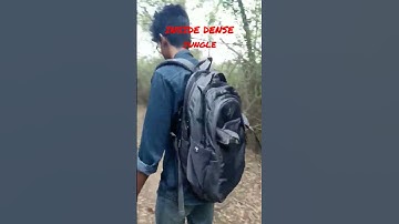 Exploring highly dense jungles in University of Hyderabad #hcu #engineering #engineers #uoh #student