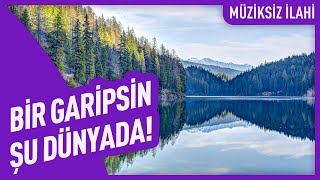 Bir Garipsin Şu Dünyada | Müziksiz İlahi Resimi