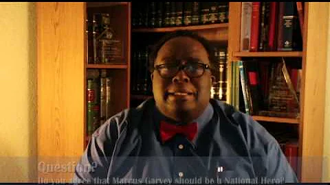 Caribbean Law TV - Interview with Professor Rowe (Dudus in Protocol House; Marcus Garvey)