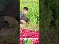 किसान ब्लॉक १ @Ani
