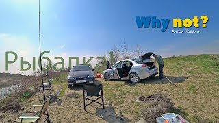 Видео Ташкент, Сырдарья "Правильная" Рыбалка, Завтрак на Костре, Лосось в барбекю, 2019 от Антон Коваль, шоссе Джалал Аль-е Амад, Тегеран, Иран
