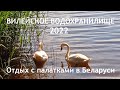 Вилейское водохранилище 2022 - отдых с палатками близ деревни Сосенка. Дикий кемпинг!