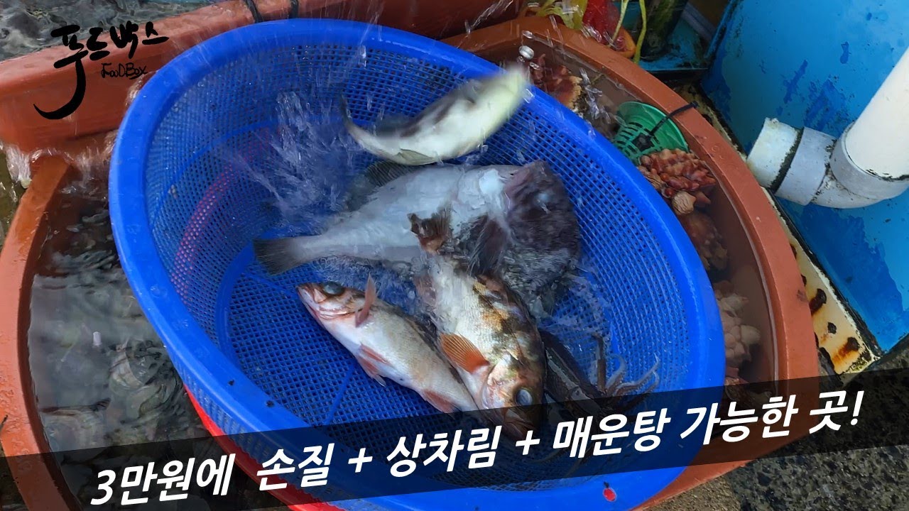 [삼척 임원항] 단돈 3만원에  회+손질+상차림+매운탕 모든게 가능한 곳!