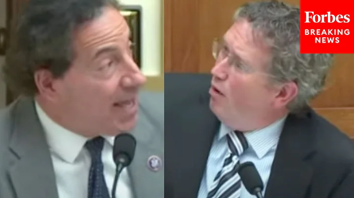 'This Is What You Guys Can't Stand!': Jamie Raskin...