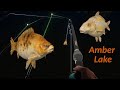 Rf4 Trophy carp spot