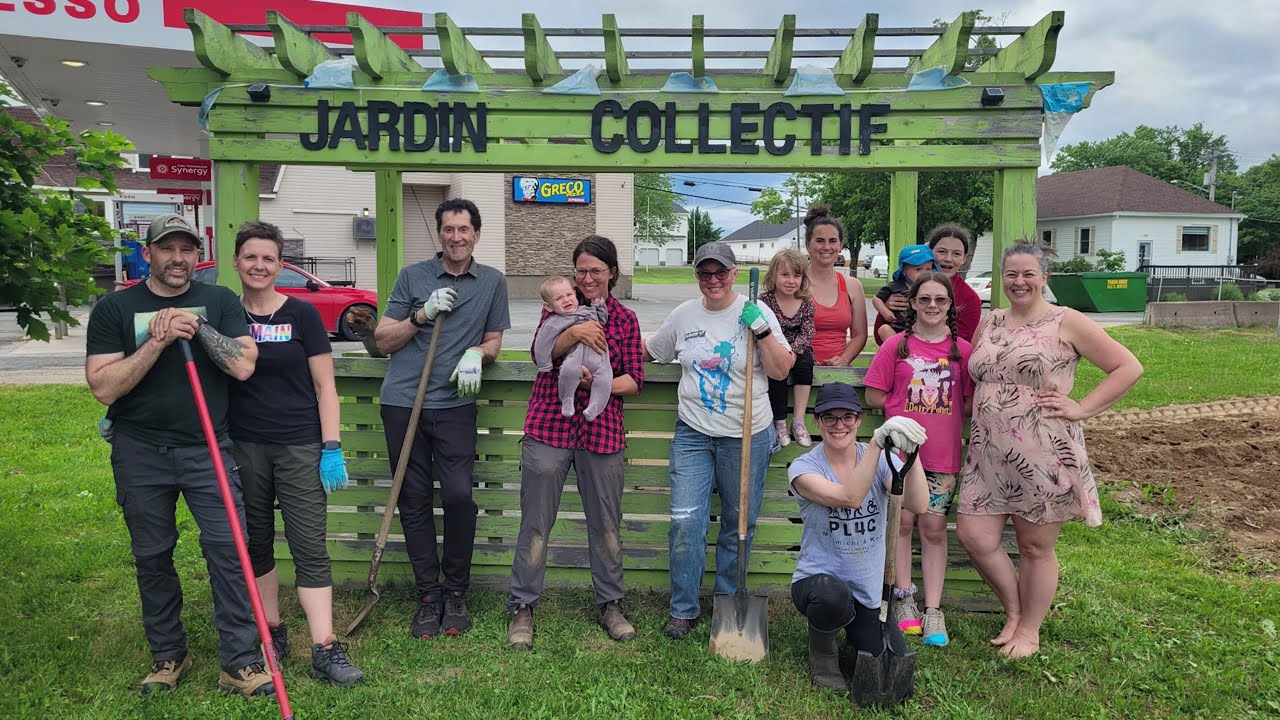 jardinage de patates en sécheresse