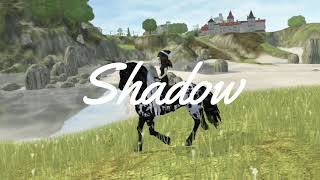 echo - MEP part 5