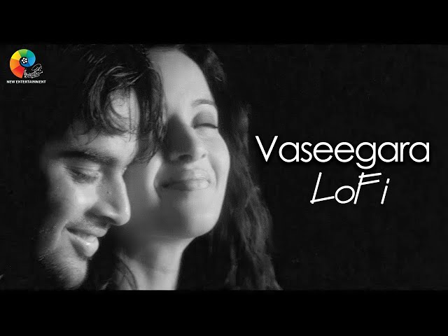 Vaseegara LoFi | Slow x Reverb | Tamil LoFi | Minnale | Harris Jayaraj | Madhavan | Gautham V Menon class=