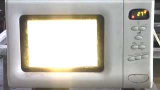 What happens when we put a light bulb or energy-saving fluorescent lamp in the microwave #microwave
