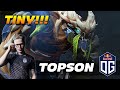 TOPSON TINY BEAST - Dota 2 Pro Gameplay [Watch & Learn]