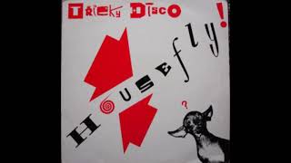 Tricky Disco - Flyspray (B) - 1991
