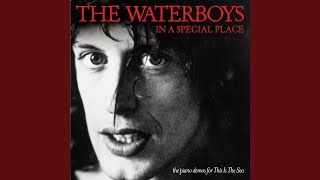 Vignette de la vidéo "The Waterboys - The Whole of the Moon"