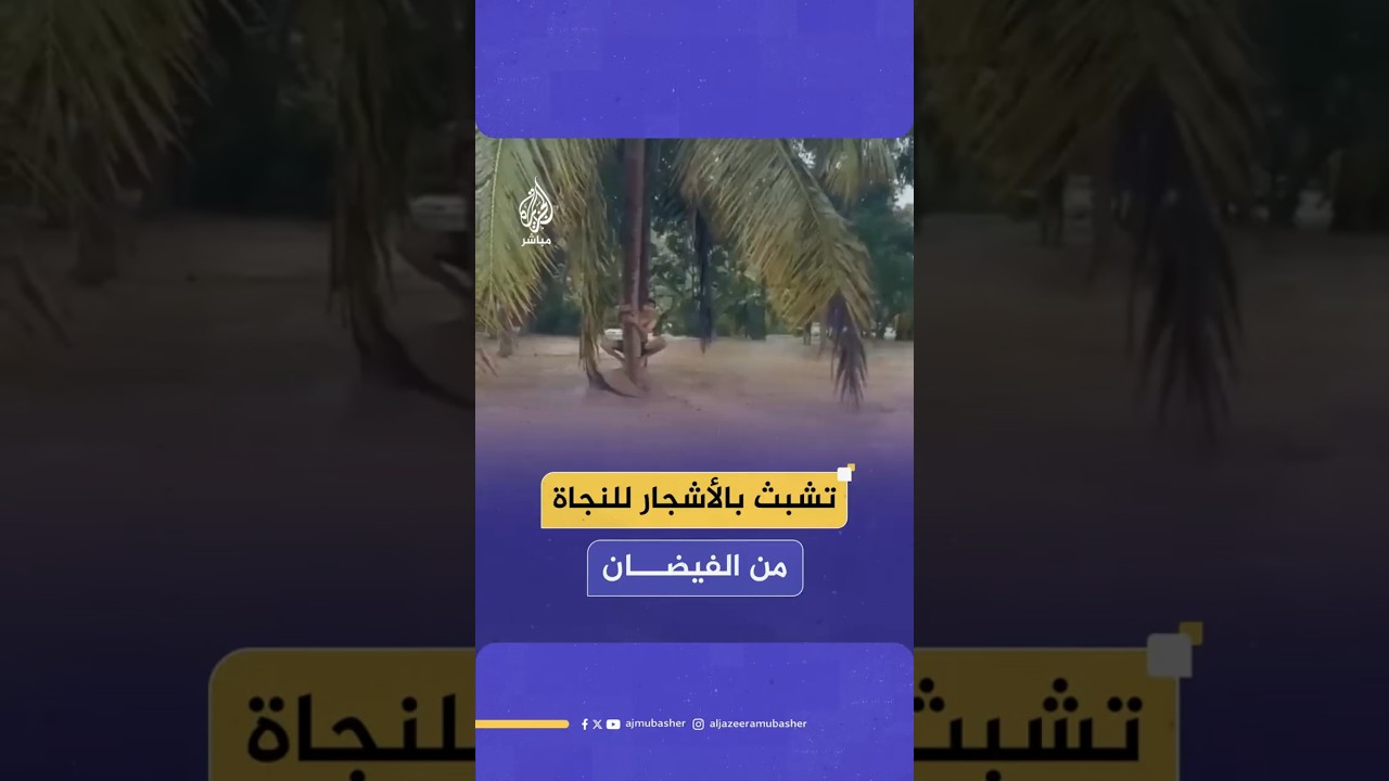 تشبث بالأشجار للنجاة من الفيضان