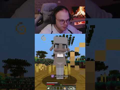 Раздел Овечку в Minecraft