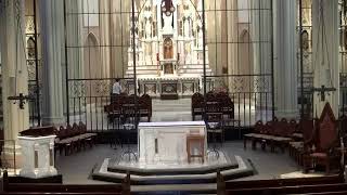 Tuesday of the Fourteenth Week in Ordinary Time Mass (Presider: Fr. Witt, SJ) 07/07/2026