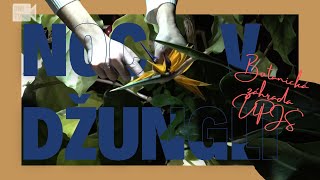 Noc V Džungli V Botanickej Záhrade Upjš V Košiciach
