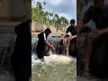 #fishhunting #fishing #safanafishing #fish #short #shorts #viral #viralshorts #mallu #malayalam