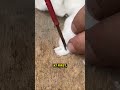 GENIUS, RIGHT?