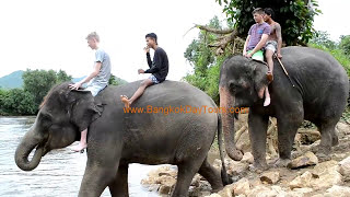 Elephant Bathe Tour with BangkokDayTours (Original only by BangkokDayTours Ltd.!) Elephant Bathe Tour with BangkokDayTours (Original only by BangkokDayTours Ltd.!)