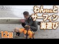 【鴨川・江見海岸】えみワン！12話「わんちゃんとサーフィン海遊び」