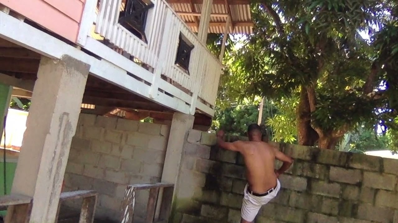 Konfu Busawine Karate ( snake vs cement wall )