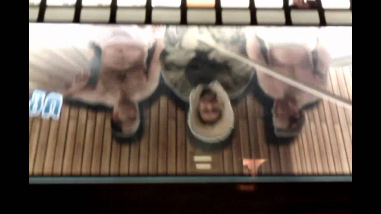 pocketdub - tomtom the inuit (remix)