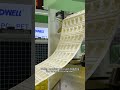 DWELL One-step Extrusion Thermoforming Machine