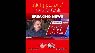 Naqvi’s Crucial Mediation Role #pti  #politicaldevelopments