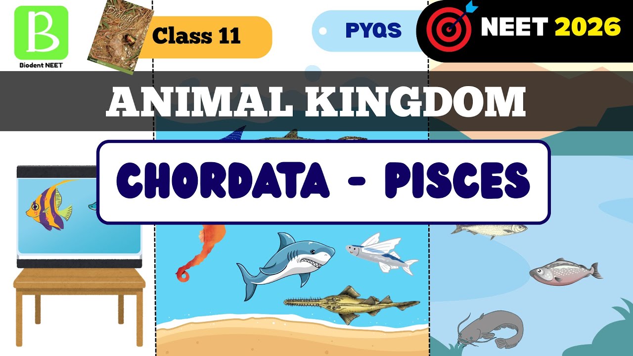 Pisces Class | Animal kingdom class 11 - Chordata 
