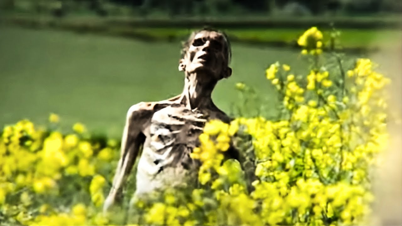 The Horror Trailer That Breaks the People Who Watch It