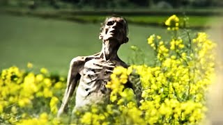 The Horror Trailer That Breaks The People Who Watch It