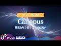 【フリーBGM】Canopus:ポケットサウンド【神秘的/クール】