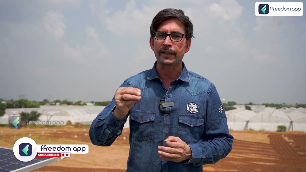 Poly House Farming: कैसे करें महंगी सब्जियों की उन्नत खेती | Mini Israel in Jaipur | Rajasthan