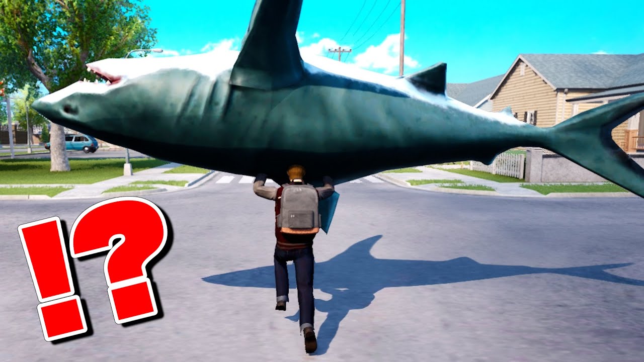 I enrolled in a crazy school where I could do whatever I wanted