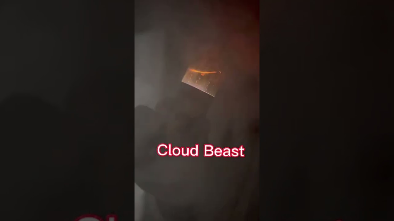 R&M PARADISE -10000 puffs cloud beast review