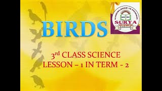 NESTING HABITS & CARING OF THE YOUNG ONES 3RD CLASS BIRDS LESSON IN TERM 2