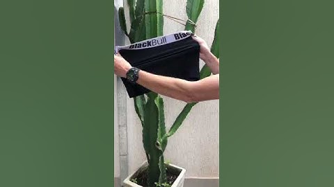 Kit 10 Cuecas Masculinas Básicas Box Boxer Sortidas Atacado