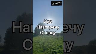 Стремишься к свету? Тебе послание!