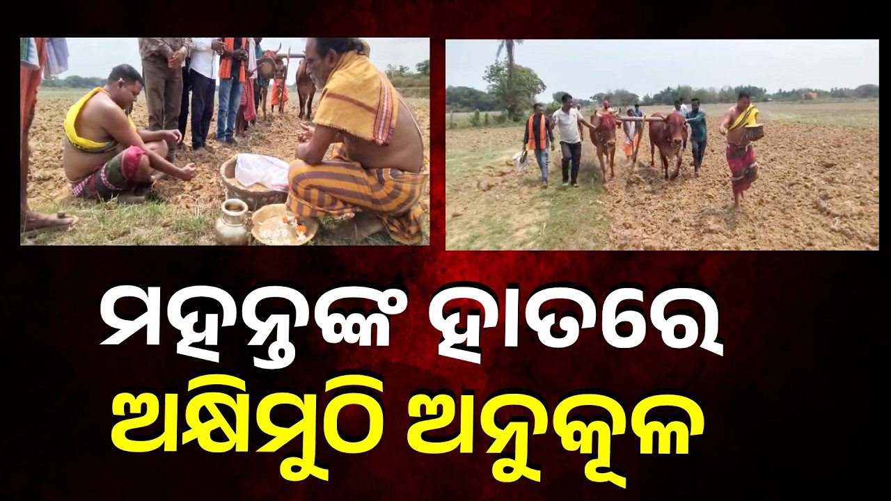 ମହାପ୍ରଭୁଙ୍କ ଆଦ୍ୟ ଲୀଳାକ୍ଷେତ୍ର ଦେଉଳୀ ମଠରେ ପାରମ୍ପରିକ ହଳବଳଦରେ ହେଲା ଅକ୍ଷିମୁଠି ଅନୁକୂଳ || Knews Odisha